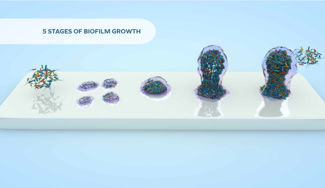 Is your 2022 resolution to proactively tackle dental biofilm?